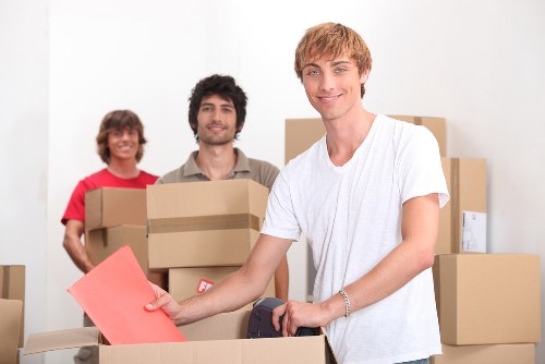 Professional man and van helping with transport in London